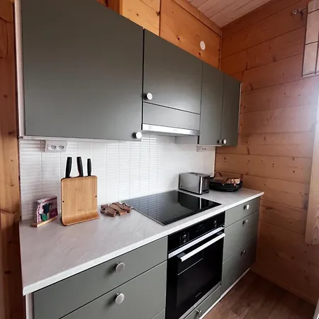 Lehtoniemi With Pick-up Service By Insider *