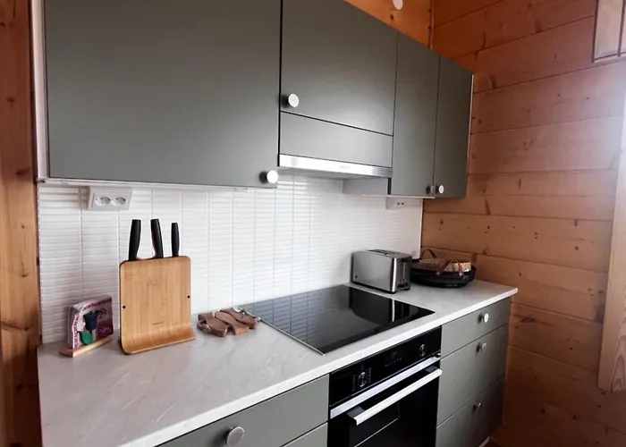 Lehtoniemi With Pick-up Service By Insider *